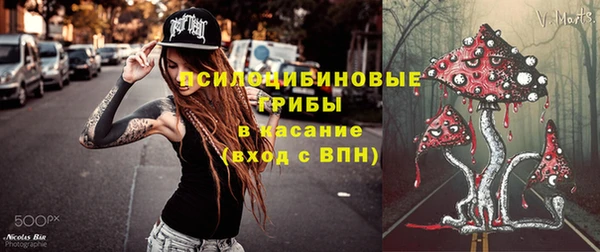 герыч Алексин