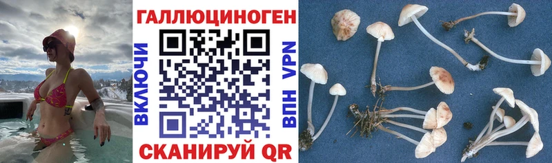 МЕГА ONION  Южно-Сахалинск  Псилоцибиновые грибы Magic Shrooms  где купить наркоту 