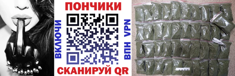 Шишки марихуана сатива Южно-Сахалинск